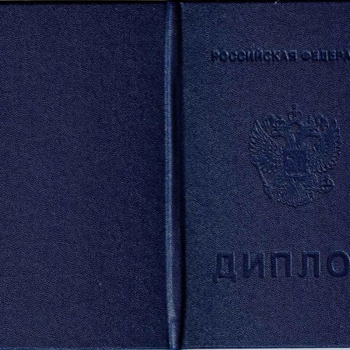 Диплом колледжа 2008-2010